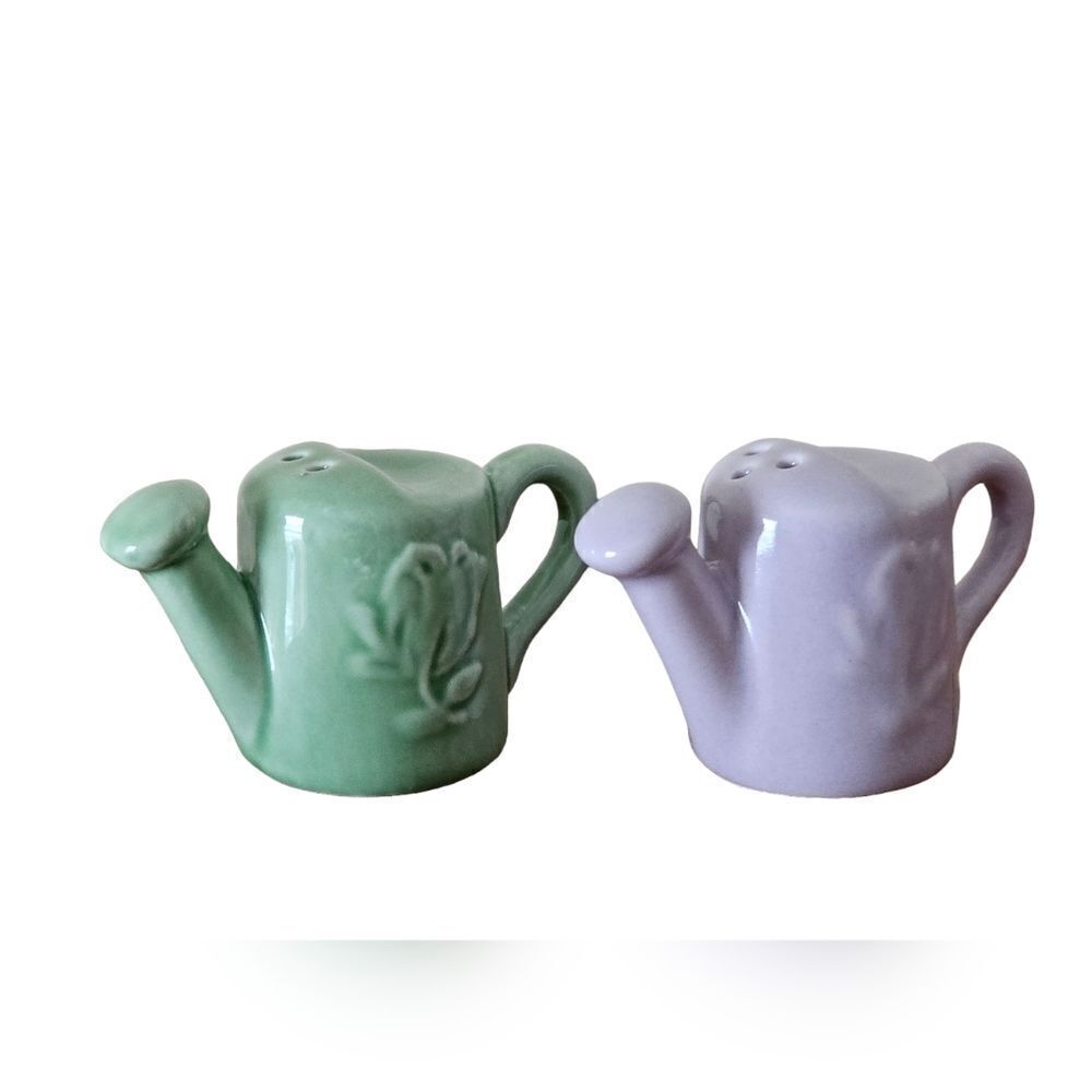 Mini Watering Cans Salt and Pepper Shaker